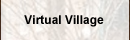 Virtual Village